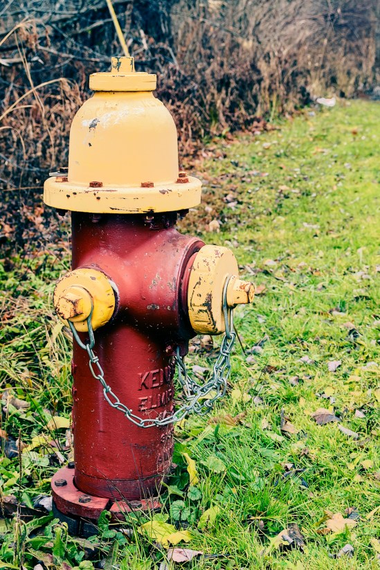 At The Ready Nikon D5100, Sigma 17-70mm f/2.8-4, 1/40s, 42mm, f/8, ISO 400