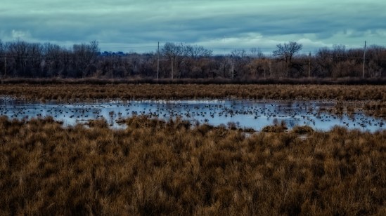 Going to the Birds... Nikon D5100, Sigma 17-70mm f/2.8-4, 1s, 70mm, f/16, ISO 100