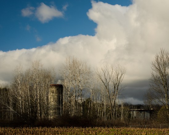 Installation Decay Nikon D5100, Nikkor 55-200mm f/4-5.6, 1/60s, 55mm, f/16, ISO 200