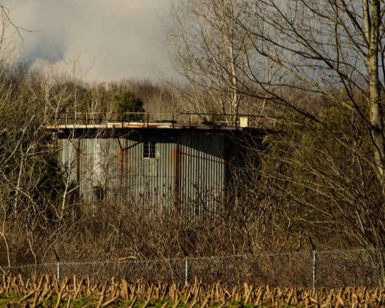 In The Round Nikon D5100, Nikkor 55-200mm f/4-5.6, 1/80s, 200mm, EV -0.7, f/16, ISO 200