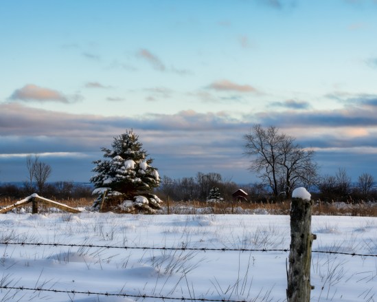 Winter WonderlandNikon D5100, Nikkor 55-200mm f/4-5.6, 1/25s, 55mm, f/18, ISO 200