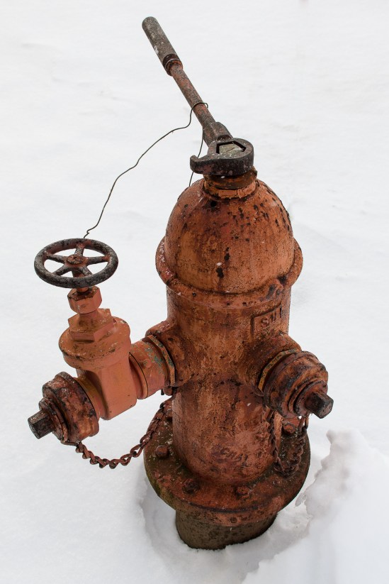 Ready for TroubleNikon D5100, Nikkor 35mm f/1.8, 1/160s, f/8, ISO 100