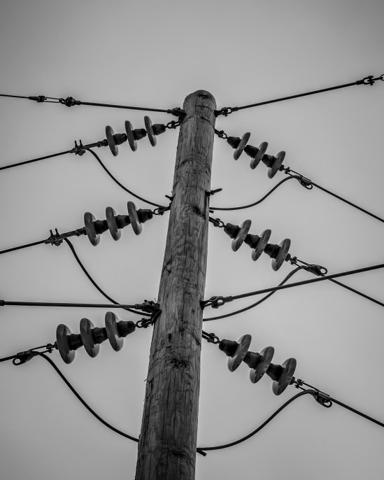 and in this corner...Nikon D5100, Sigma 17-70mm f/2.8-4, 1/400s, 55mm, f/11, ISO 200