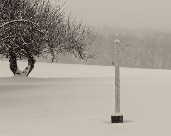 Post and Tree in the SnowNikon D5100, Sigma 17-70mm f/2.8-4, 1/60s, 70mm, f/8, ISO 800