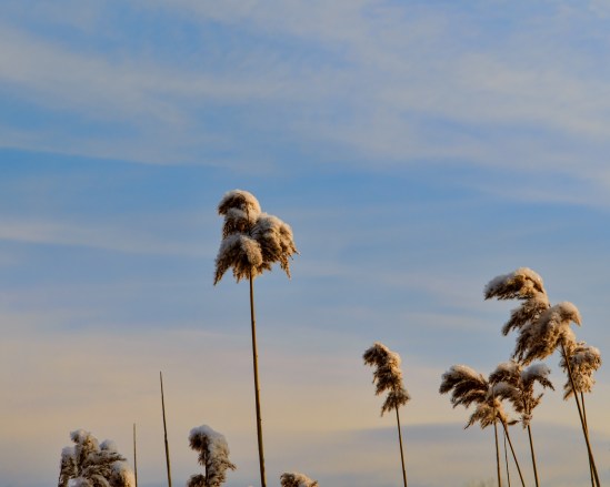 Sunrise Surprise Nikon D5100, Sigma 17-70mm f/2.8-4, 1/400s, 70mm, f/8, ISO 100