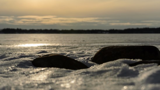 Sunset on an alien world?Nikon D5100, Nikkor 55-200mm f/4-5.6, 1/800s, 55mm, f/8, ISO 200