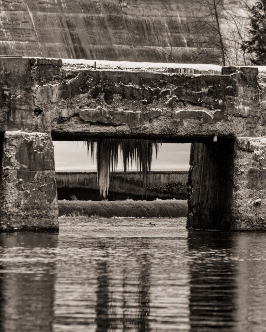 Hangin' Around Nikon D5100, Nikkor 55-200mm f/4-5.6, 1/640s, 200mm, f/8, ISO 200