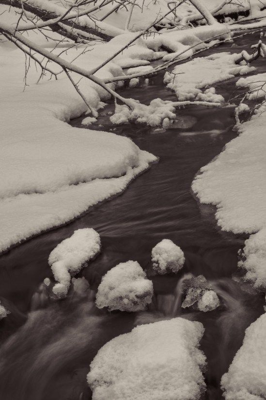 Straight on to you Nikon D5100, Nikkor 55-200mm f/4-5.6, 1/2s, 55mm, f/20, ISO 100