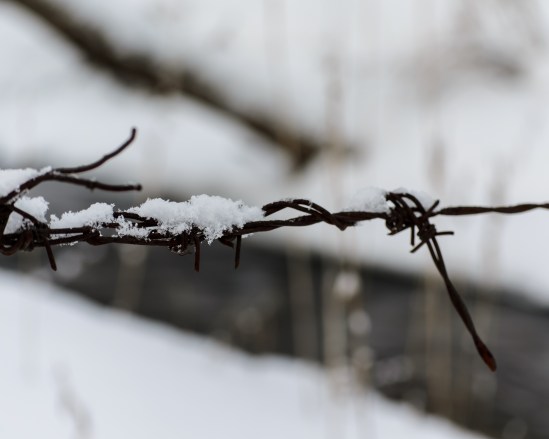 Two Turns to the Right Nikon D5100, Nikkor 55-200mm f/4-5.6, 1/8s, 75mm, f/5.6, ISO 100