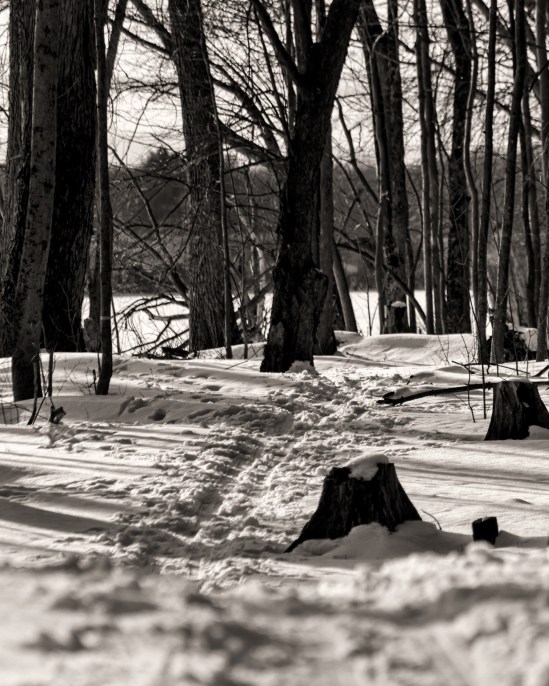 Winter Trail Nikon D5100, Nikkor 55-200mm f/4-5.6, 1/200s, 200mm, f/8, ISO 200