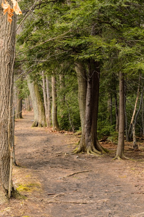 Finding My Way Nikon D5100, Sigma 17-70mm f/2.8-4, 1/30s, 46mm, f/11, ISO 200
