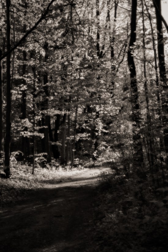 Just around the bend... Nikon D5100, Nikkor 35mm f/1.8, 1/50s, f/8, ISO 200