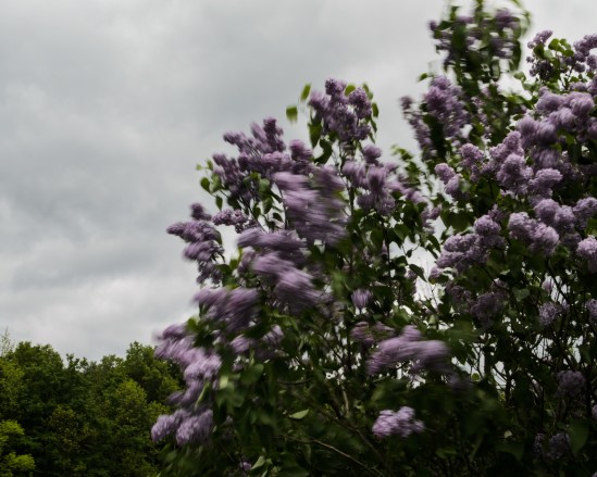 Movement #3 Nikon D5100, Sigma 17-70mm f/2.8-4, 1/8s, 35mm, f/25, ISO 100