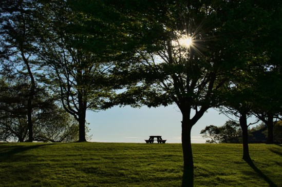 Summer Awaits Nikon D5100, Nikkor 35mm f/1.8, 1/160s, f/20, ISO 200