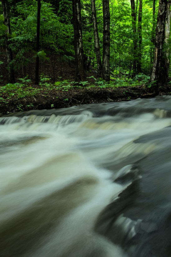 After the Rain Nikon D5100, Sigma 17-70mm f/2.8-4, 2s, 21mm, f/10, ISO 100