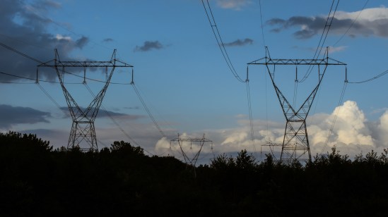 Giants Among Us Nikon D5100, Nikkor 55-200mm f/4-5.6, 1/400s, 55mm, f/11, ISO 400