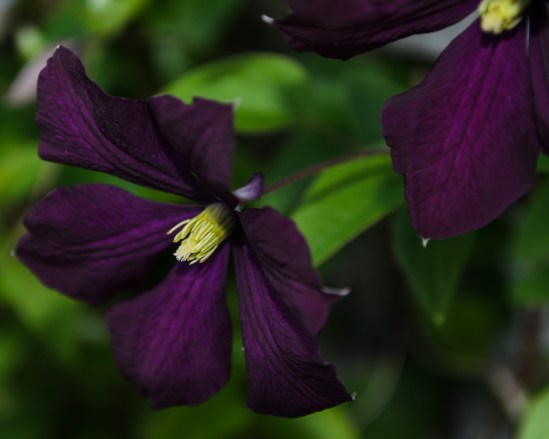 Hanging Around Nikon D5100, Sigma 17-70mm f/2.8-4, 1/200s, 70mm, f/4, ISO 800