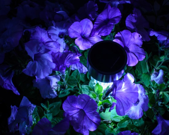 Night Light Nikon D5100, Nikkor 35mm f/1.8, 30s, f/16, ISO 400