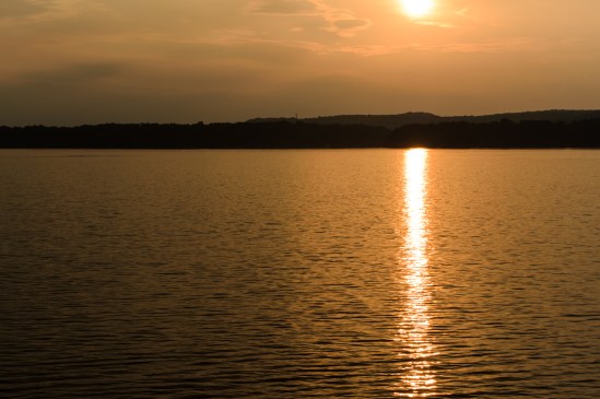 Orange Nikon D5100, Nikkor 55-200mm f/4-5.6, 1/500s, 55mm, f/8, ISO 200