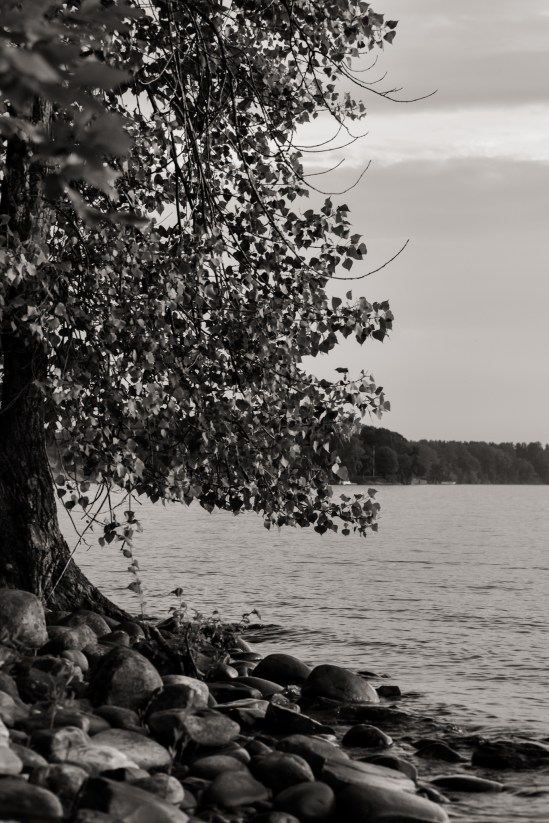 Rocky Silence Nikon D5100, Nikkor 55-200mm f/4-5.6, 1/80s, 55mm, f/4, ISO 200