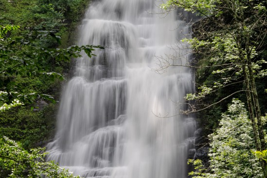 Bottom Close-up Nikon D5100, Sigma 17-70mm f/2.8-4, 1/5s, 55mm, f/22, ISO 100