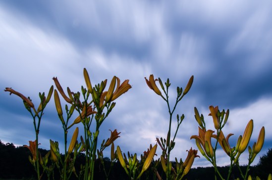 Closing for the Night Nikon D5100, Sigma 17-70mm f/2.8-4, 30s, 17mm, -2EV flash, ISO 100
