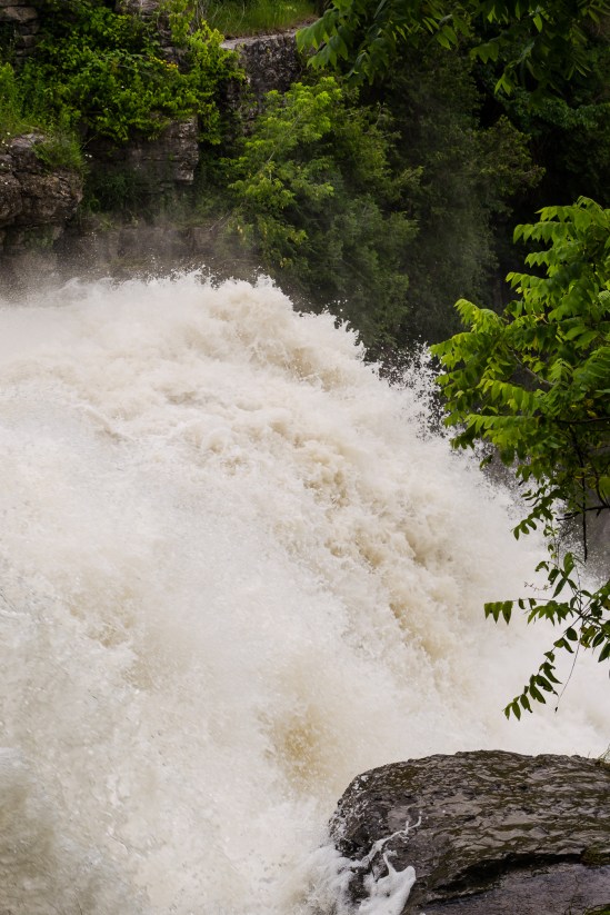 Massive Nikon D5100, Sigma 17-70mm f/2.8-4, 1/400s, 46mm, f/8, ISO 100