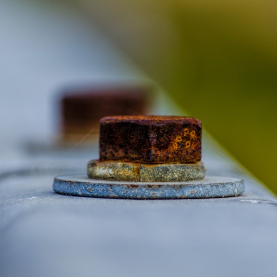 Connections Nikon D5100, Nikkor 55-200mm f/4-5.6, 1/200s, 200mm, f/5.6, ISO 200