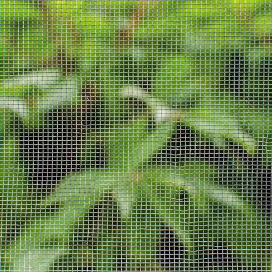 Contained Nikon D5100, Nikkor 35mm f/1.8, 1/100s, f/4, ISO 200