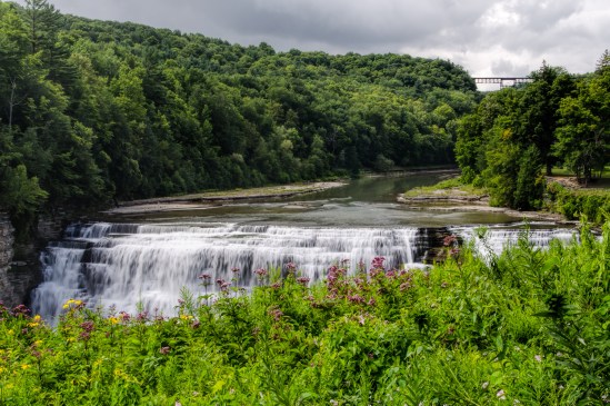 Floral Flow Nikon D5100, Sigma 17-70mm f/2.8-4, 1/10s, 28mm, f/20, ISO 100