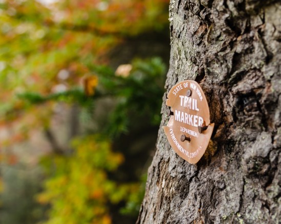 ADK Color - 2 Nikon D5100, Sigma 17-70mm f/2.8-4, 1/400s, 46mm, f/5.6, ISO 400