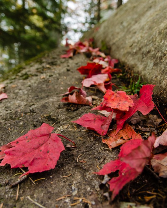 ADK Color - 5 Nikon D5100, Sigma 17-70mm f/2.8-4, 1/200s, 19mm, f/5.6, ISO 800