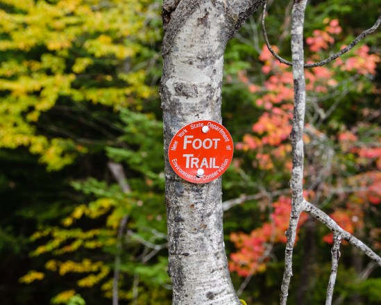 ADK Color - 6 Nikon D5100, Sigma 17-70mm f/2.8-4, 1/400s, 42mm, f/5.6, ISO 800