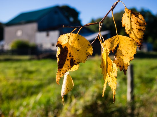 Olympus E-P3, M. Zuiko 14-42mm f/3.5-5.6, 1/500s, 23mm, f/5.6, ISO 200