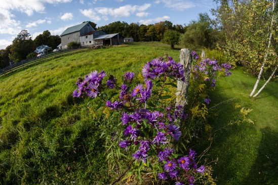 Whole New World Nikon D5100, Rokinon 8mm f/3.5, 1/125s, f/8, ISO 100