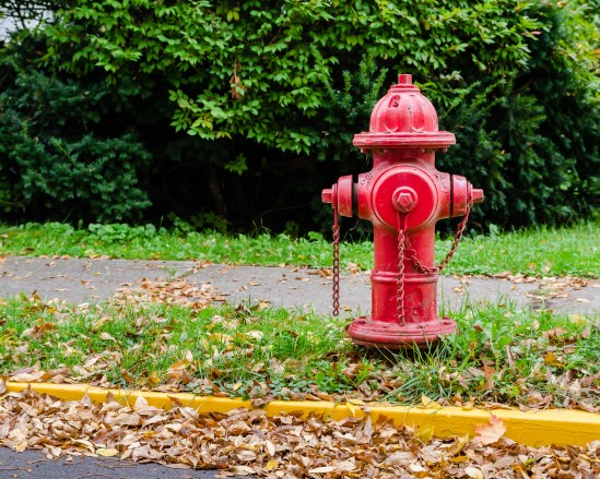 More Colors Nikon D5100, Sigma 17-70mm f/2.8-4, 1/60s, 38mm, f/5.6, ISO 800