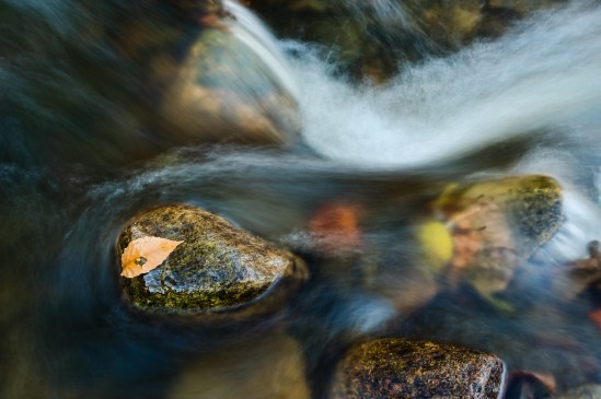 Autumn Submerged Nikon D5100, Sigma 17-70mm f/2.8-4, 1.6s, 28mm, f/11, ISO 100