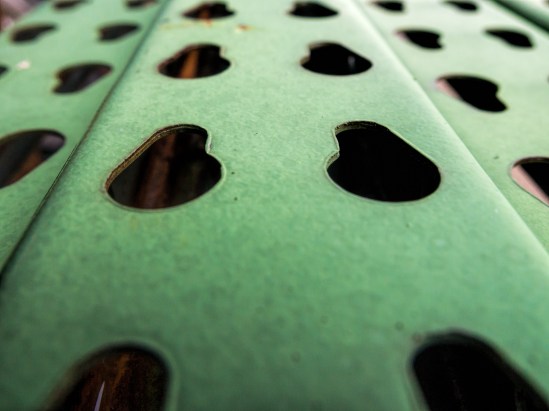 Details - Green Olympus E-P3, Olympus 14-42mm f/3.5-5.6 II R, 1/400s, 14mm, f/5.6, ISO 400