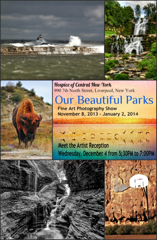 Our Beautiful Parks Fine Arts Photography Show
