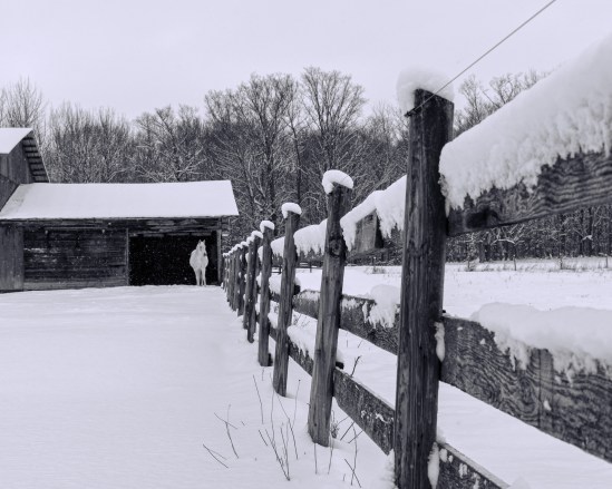 Is it Safe to Come Out? Nikon D5100, Nikkor 35mm f/1.8, 1/400s, f/8, ISO 200