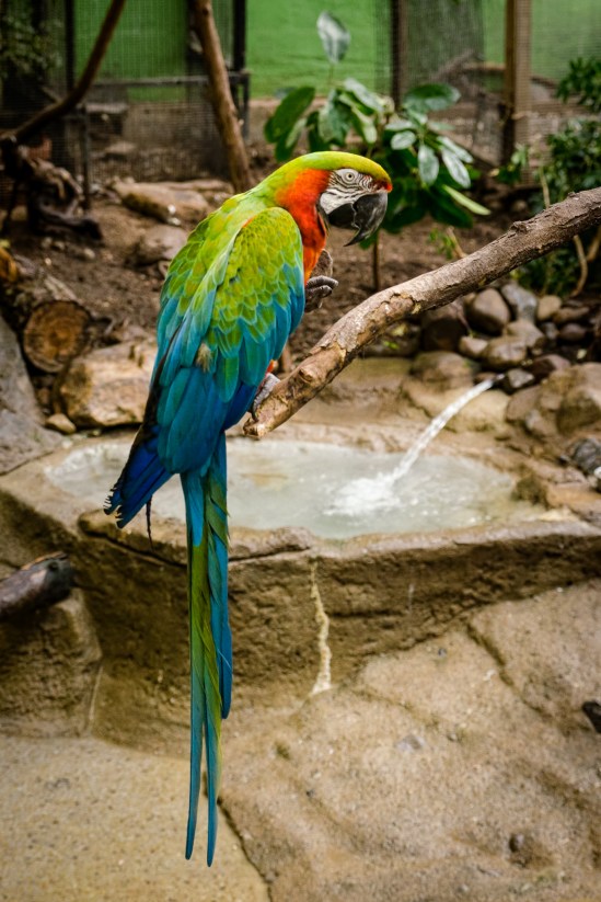 Let me eat in peace! Nikon D5100, Sigma 17-70mm f/2.8-4, 1/160s, 55mm, f/5.6, ISO 3200