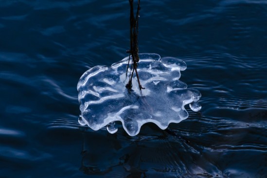 Nature's Ice Sculptre Nikon D5100, Nikkor 55-200mm f/4-5.6, 1/500s, 200mm, f/5.6, ISO 800