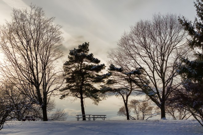 Winter Arrives Nikon D5100, Nikkor 35mm f/1.8, 1/2000s, f/5.6, ISO 200