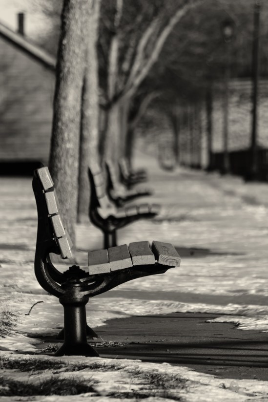 All in a Row - B&W Nikon D5100, Nikkor 55-200mm f/4-5.6, 1/1000s, 200mm, f/5.6, ISO 200