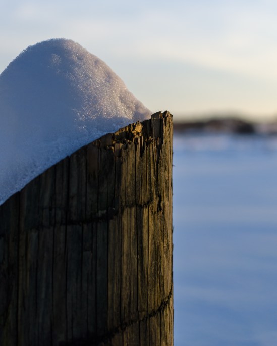Golden Snow Cap Nikon D5100, Nikkor 35mm f/1.8, 1/1000s, f/2.8, ISO 100