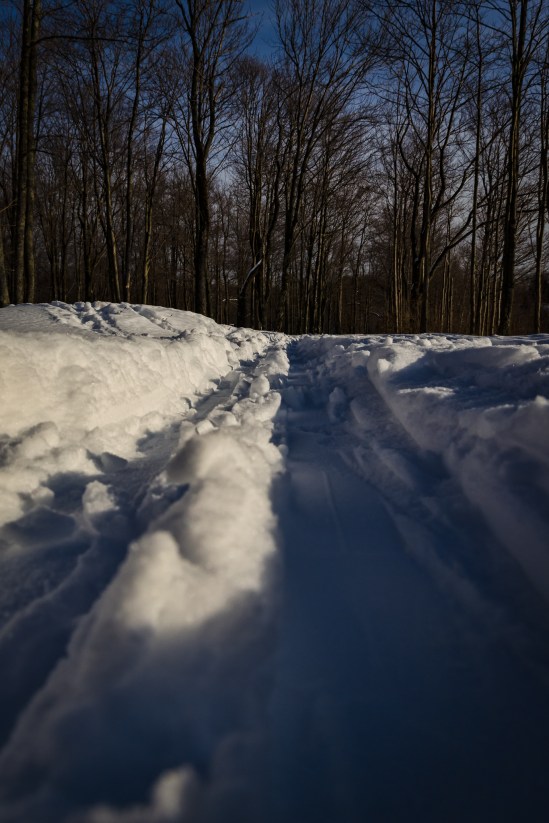 The Skis Perspective Nikon D5100, Siga 17-70mm f/2.8-4, 1/1600s, 17mm, f/8, ISO 200