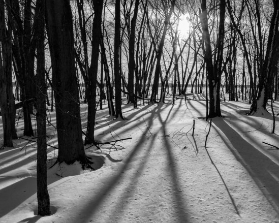 Long Shadows Nikon D5100, Sigma 17-70mm f/2.8-4, 1/400s, 17mm, f/11, ISO 200