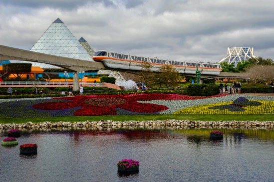 Orange Flower Nikon D5100, Nikkor 35mm f/1.8, 1/500s, f/11, ISO 400