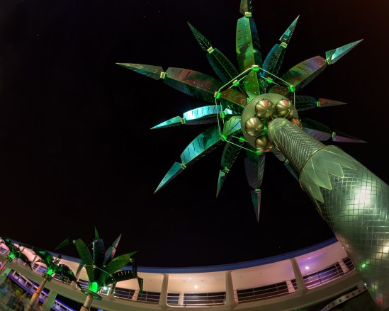 Tomorrow's Trees Nikon D5100, Rokinon 8mm f/3.5, {2.5, 10 & 30s bracket}, f/11, ISO 200