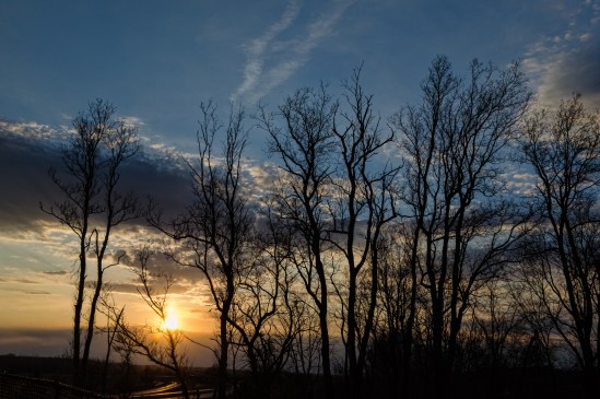 Silhouettes at Sunset Nikon D5100, Sigma 17-70mm f/2.8-4, 1/80s, 24mm, f/16, ISO 200